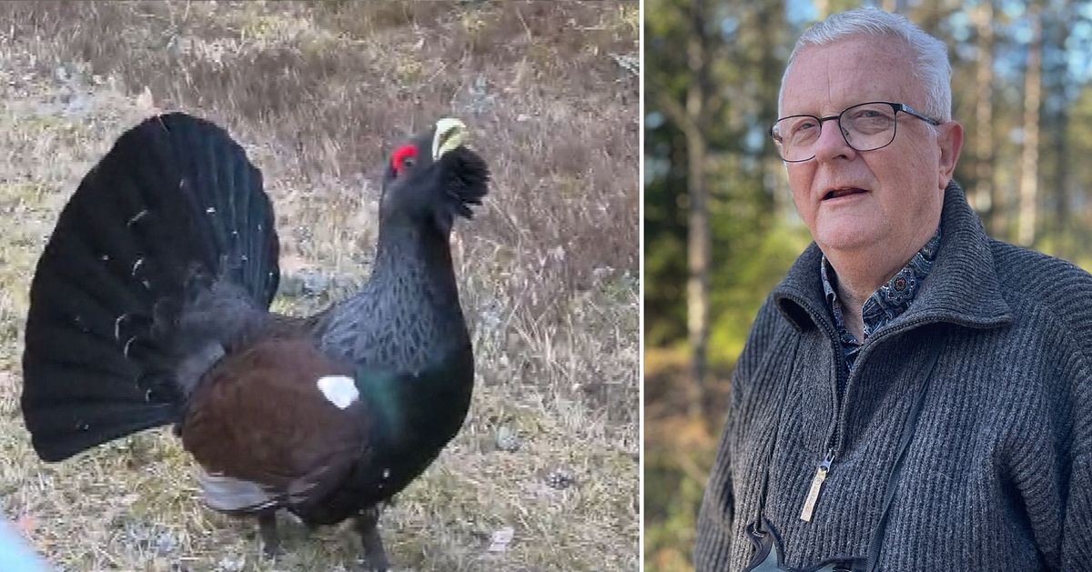 Thomas blev attackerad av en tj&auml;der p&aring; v&auml;g hem fr&aring;n jobbet
