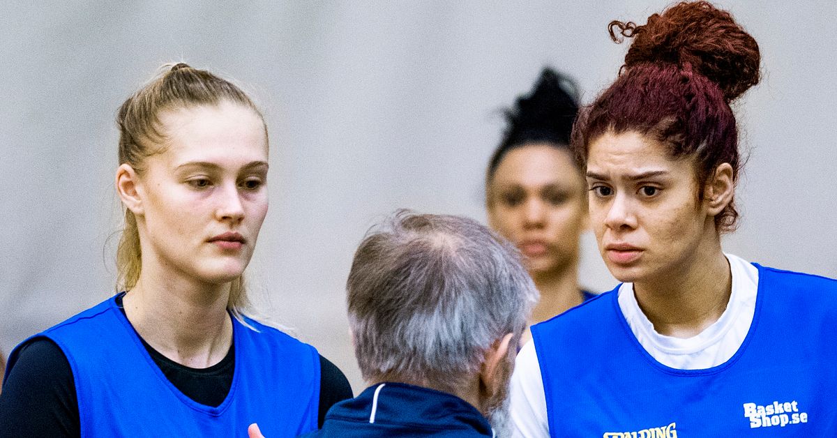 Stars Reagan McGarrity and Amanda Zahui point to Sweden’s European Championship qualifiers