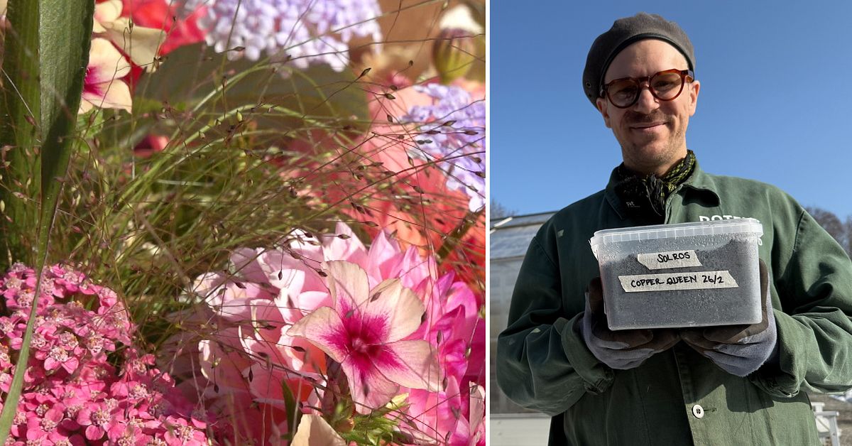 Slow flower-trenden blommar &ndash; s&aring; kommer du ig&aring;ng med snittblommor