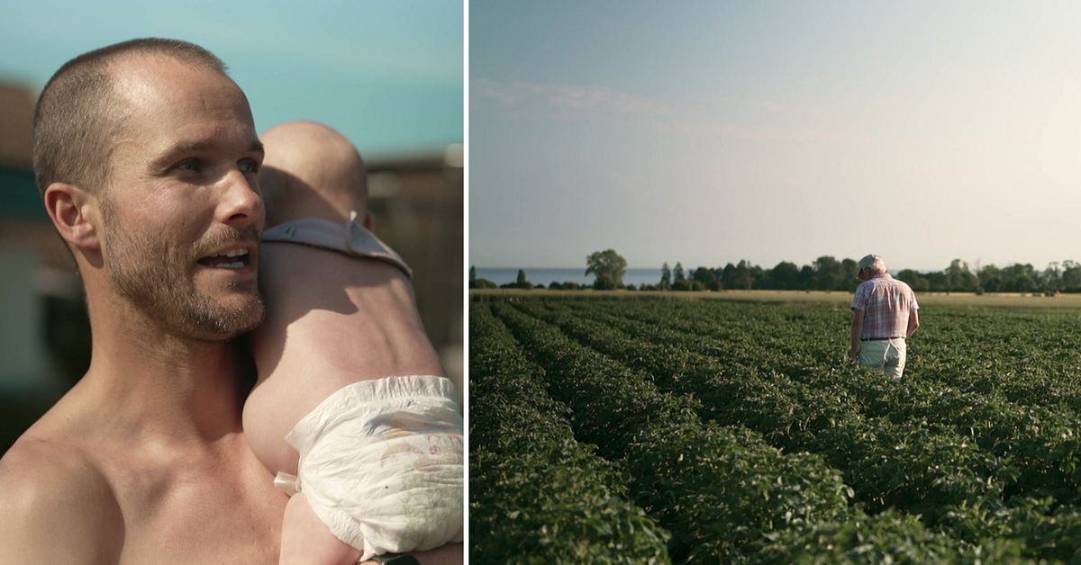 Forskare larmar: Hj&auml;rnst&ouml;rande v&auml;xtgift sprutas p&aring; svensk potatis