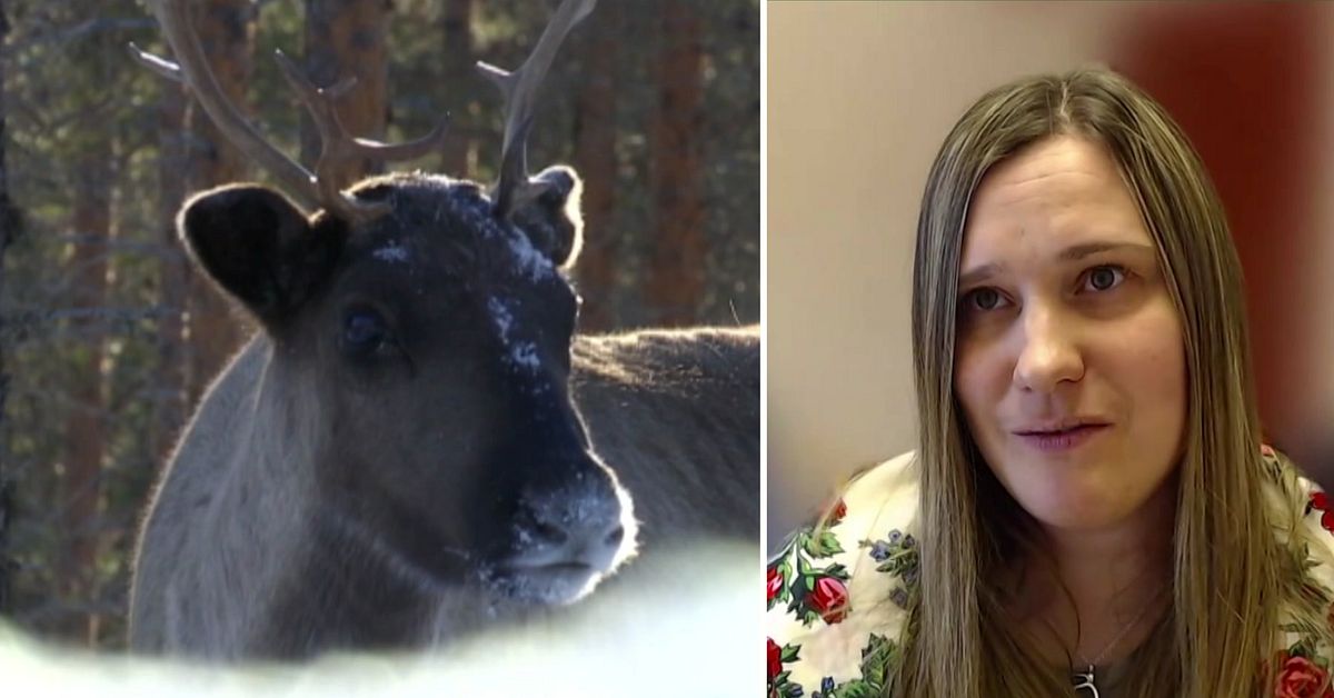 Tornedalingarna: Urfolkstatus  skulle inte påverka samerna