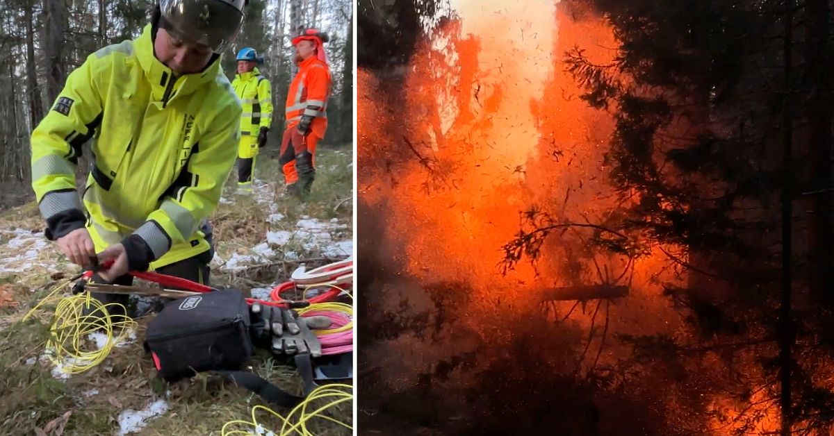 H&auml;r spr&auml;nger elbolaget tr&auml;d under r&ouml;jningsarbetet i stormens sp&aring;r