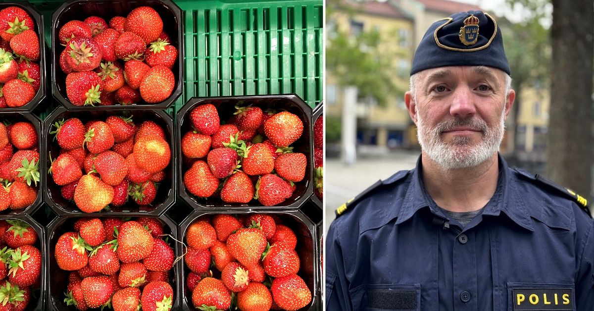 Jordgubbsst&aring;nd misst&auml;nks  vara kopplade till brottslighet