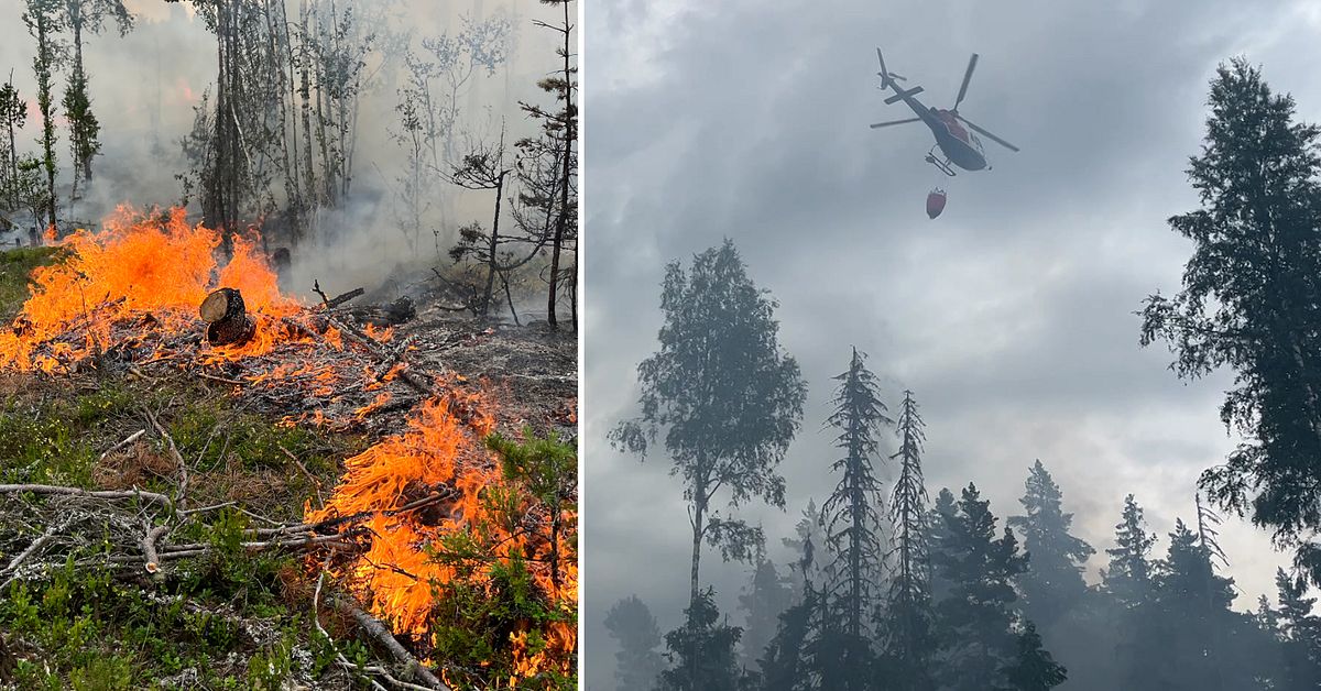 Skogsbrand utanf&ouml;r Avesta under kontroll