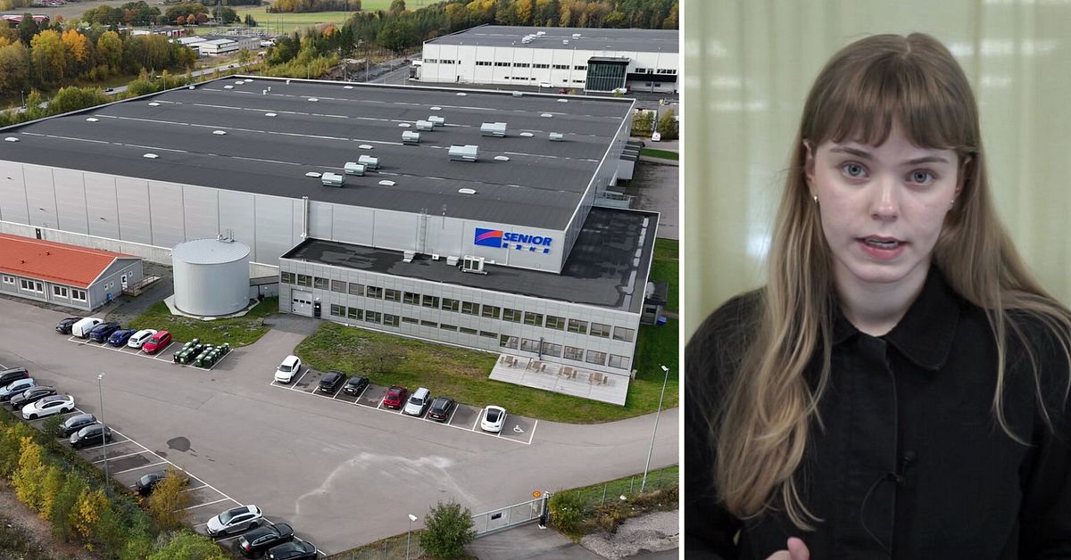 Granskning visar betydande brister i Eskilstuna kommuns hantering av Senior Materials etablering