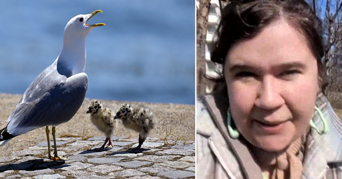 Maria kan skrika som en m&aring;s &ndash; t&auml;vlar i EM i m&aring;sskrik