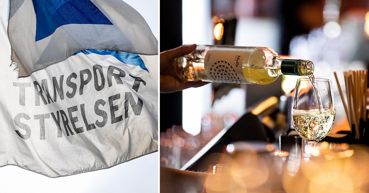 Efter kritiserade bedömningar om körkort – Transportstyrelsen kallas till trafikutskottet