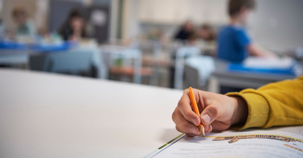 Tydlig ökning av elever i anpassad grundskola: ”Någonting har hänt”