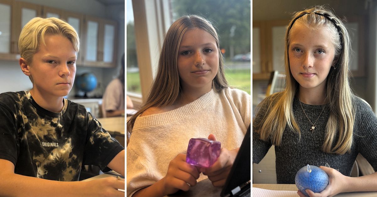 Myndigheten varnar f&ouml;r TikTok-trend med kl&auml;mleksamken squishies