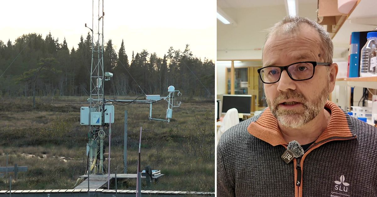 &Aring;terst&auml;llde v&aring;tmarken utanf&ouml;r Vindeln &ndash; d&aring; &ouml;kade tungmetallerna: &rdquo;Viktig pusselbit&rdquo;