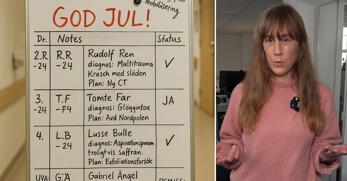 L&auml;ckta uppgifter om tomtens h&auml;lsa anm&auml;ldes till Ivo