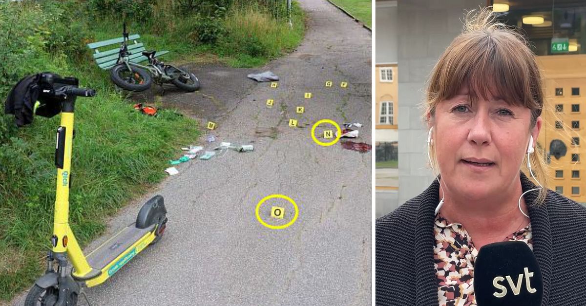 Polisens misstanke: Yngre ville ta över narkotikahandeln