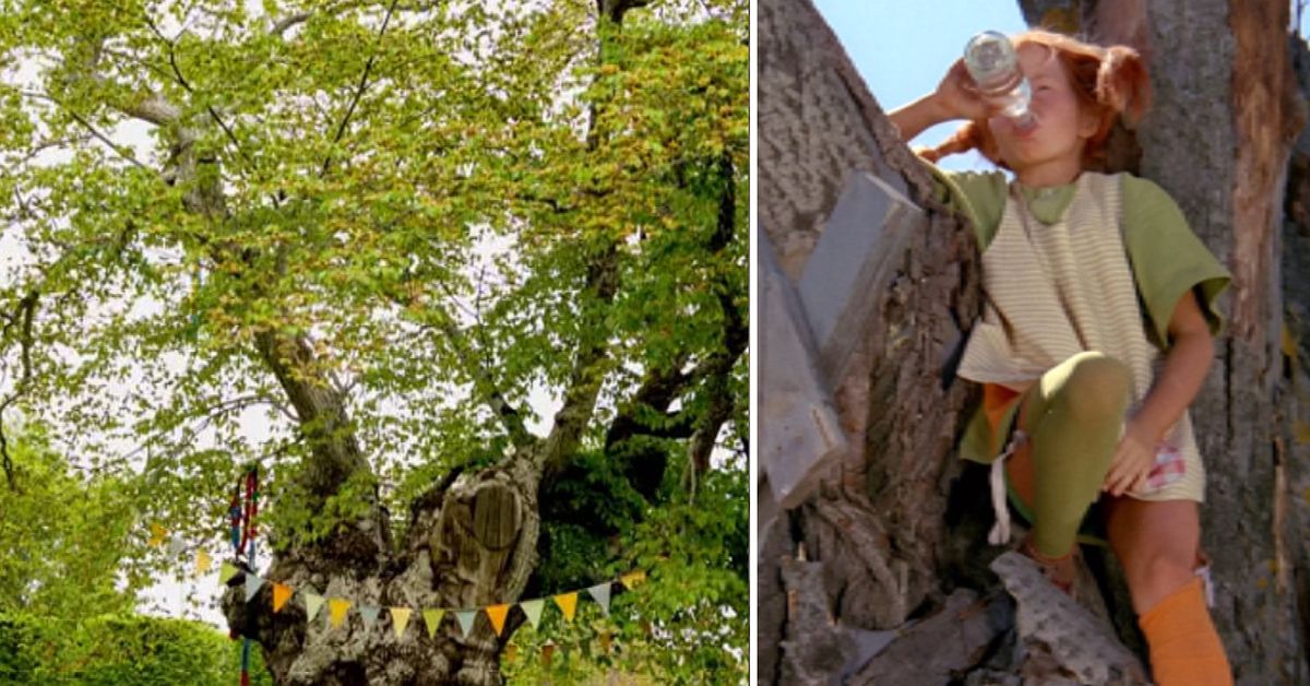 Almsjukan kryper n&auml;rmre &ndash; Pippis sockerdrickstr&auml;d f&aring;r vaccin