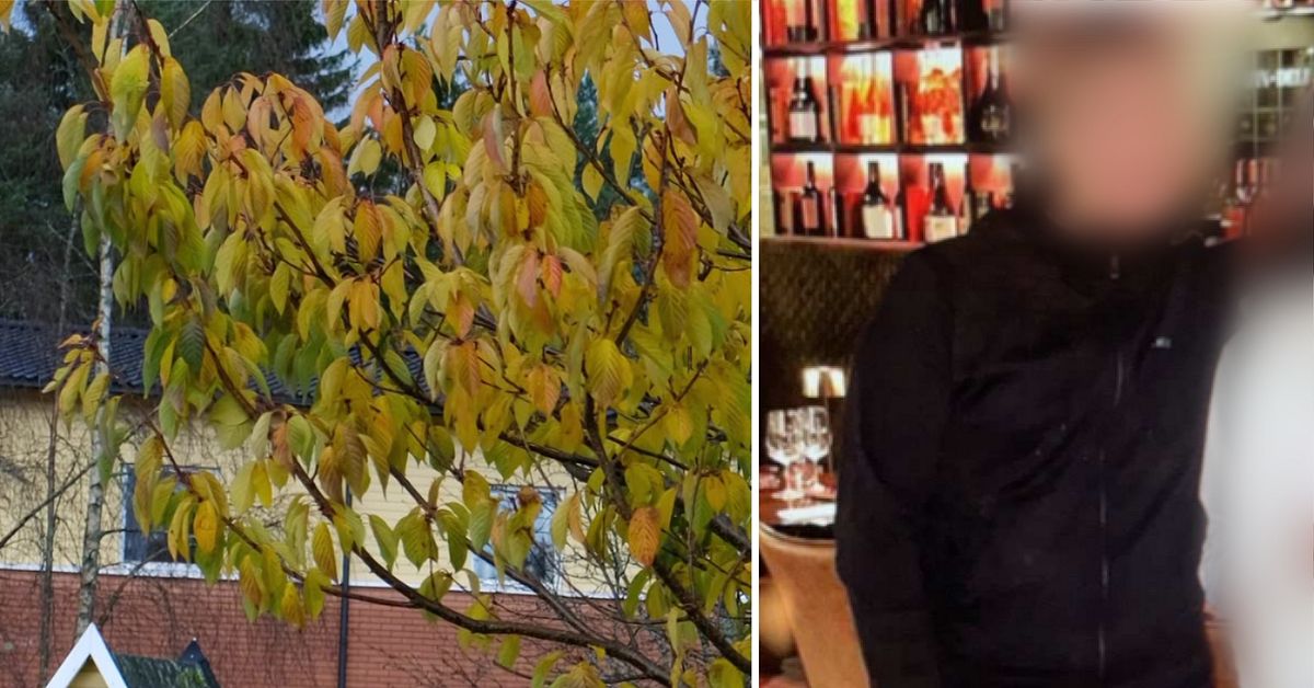 Huvudman bakom Kronoparksskjutning &aring;talas