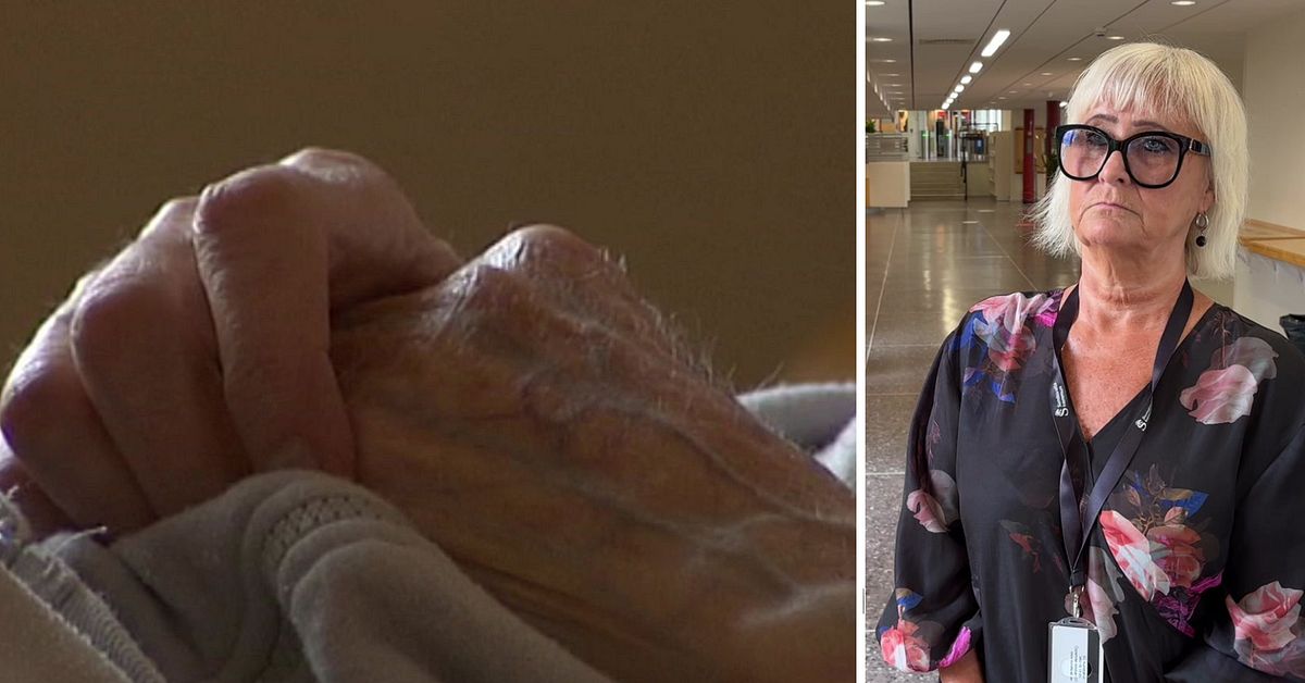 Hemtj&auml;nstanst&auml;lld misst&auml;nkt f&ouml;r sex&ouml;vergrepp mot &auml;ldre