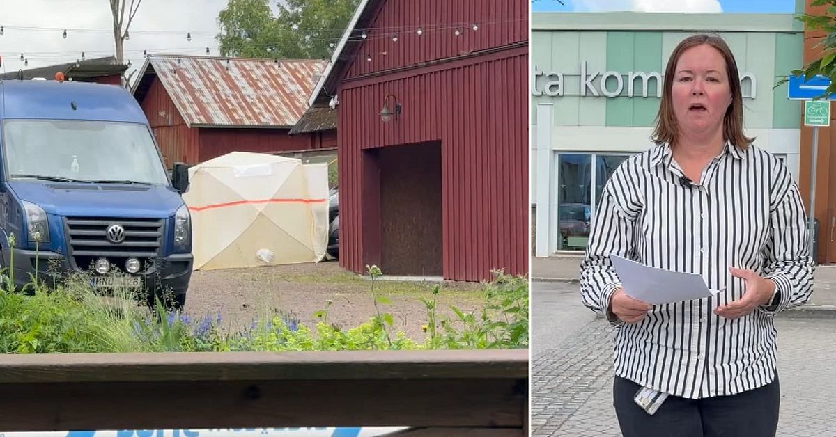 F&ouml;re detta medarbetare riktar allvarlig kritik mot socialtj&auml;nsten i Alvesta efter misst&auml;nkta mordf&ouml;rs&ouml;ken