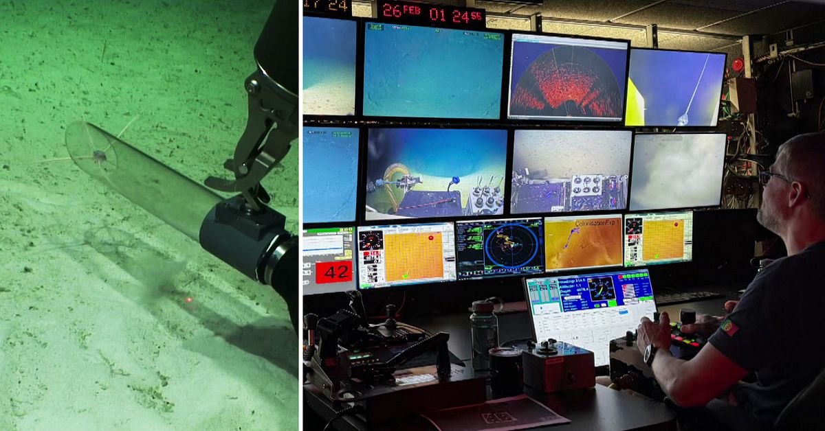 Göteborgs universitet: Nya arter upptäckta i Stilla havet