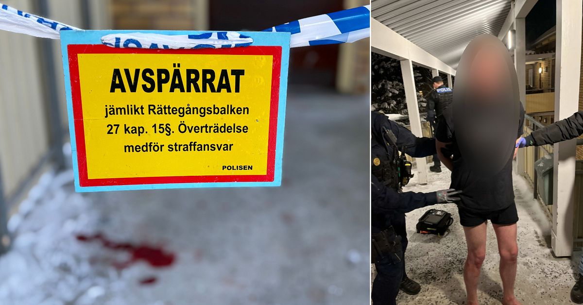 Slog med yxa mot huvud &ndash; man &aring;talas f&ouml;r mordf&ouml;rs&ouml;k i Ume&aring;