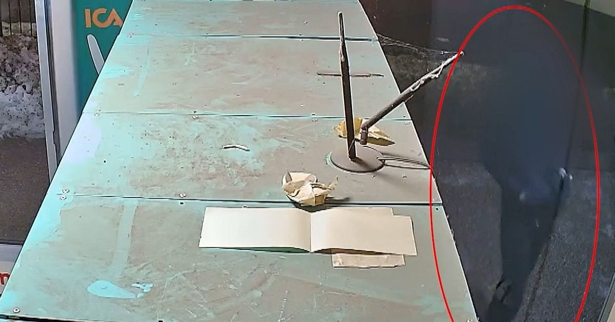 19-åring döms för handgranatsattack utanför matbutik i Nyköping