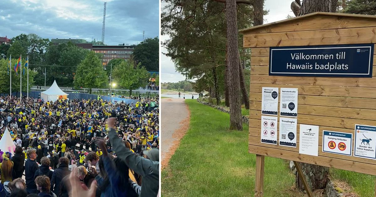 Br&aring;k om fotbolls-VM kan ligga bakom misst&auml;nkta mordet i Stenungsund