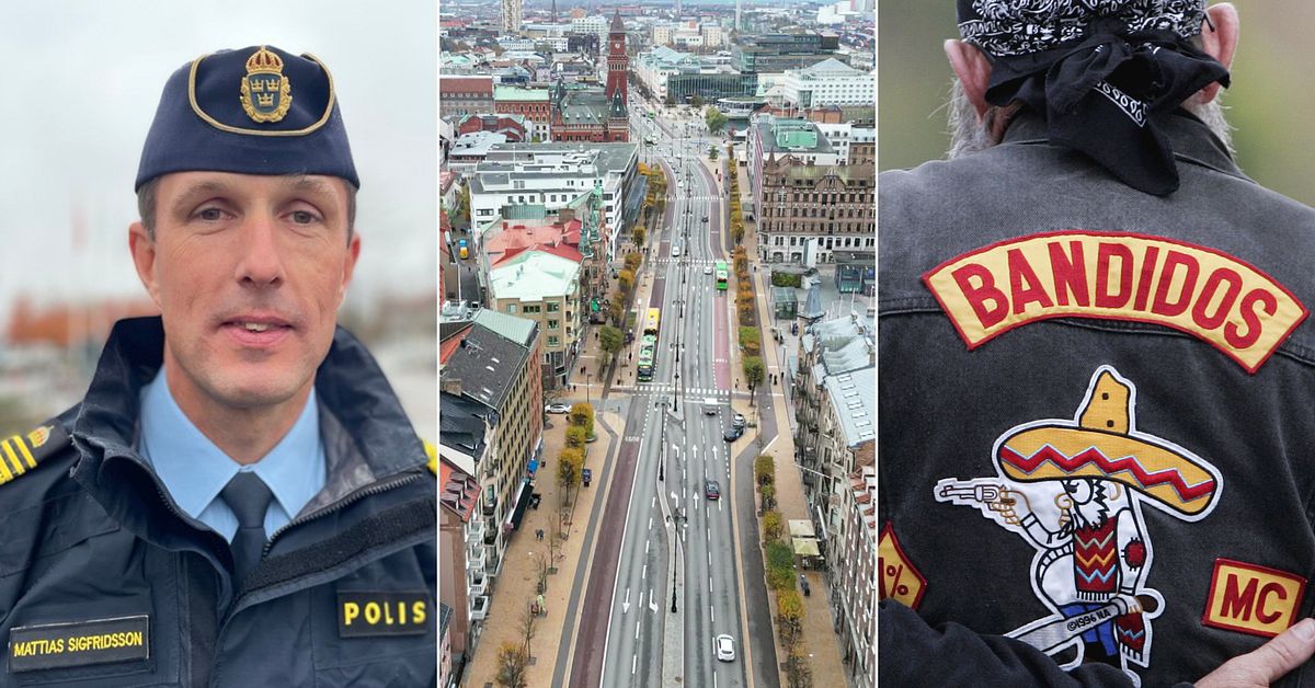 Helsingborgspolisen positiv efter Bandidosförbud: ”Kriminella gömmer sig bakom föreningar”