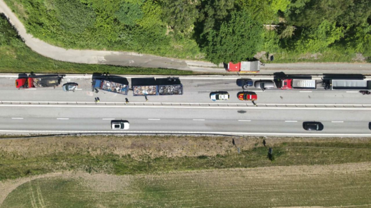 Sutli kokrak sogish porno