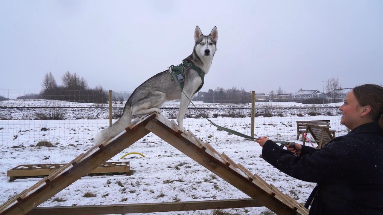 Seks otasi qiz dostining bokiraligi haqidagi videoni oladi
