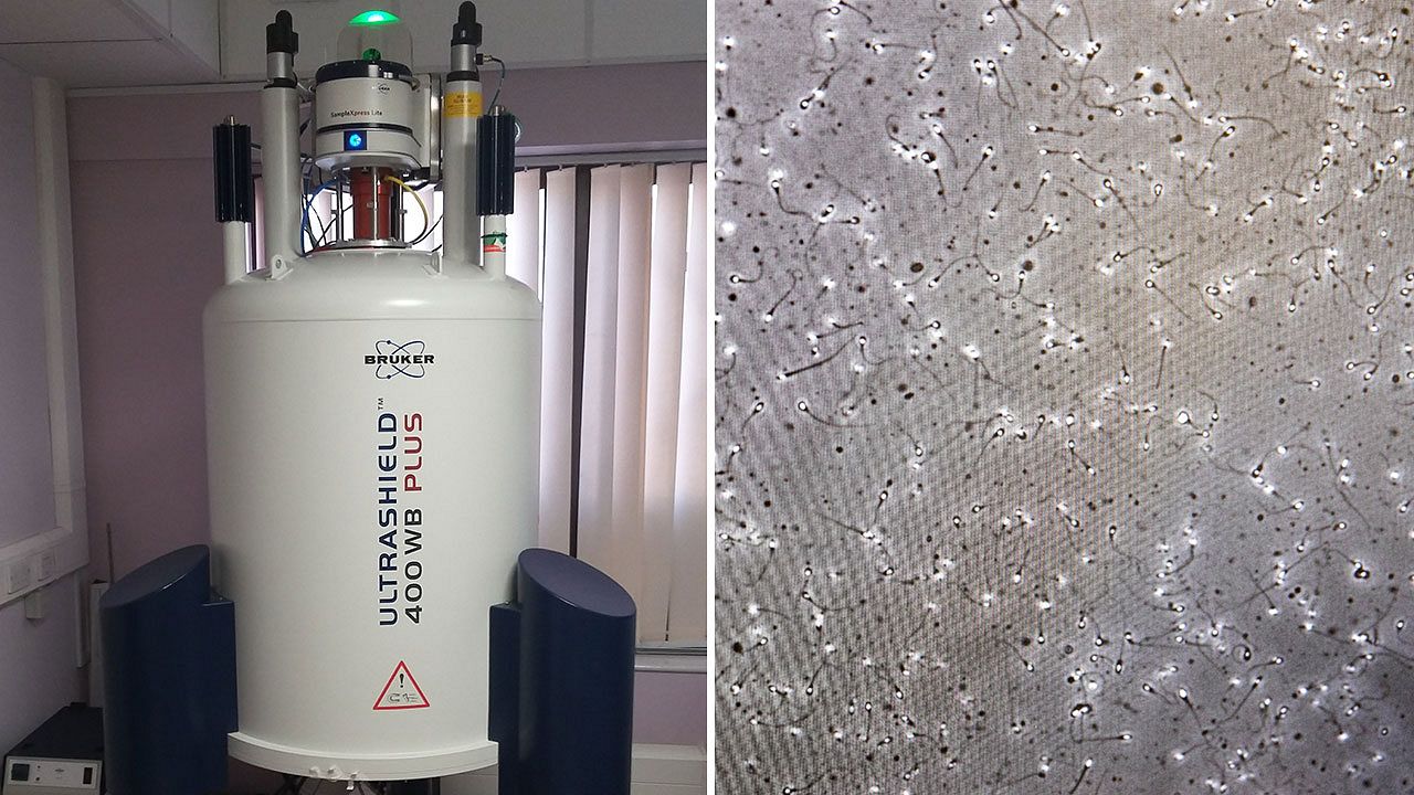 Hojatxonadagi yashirin kamera, pastki korinishdagi video