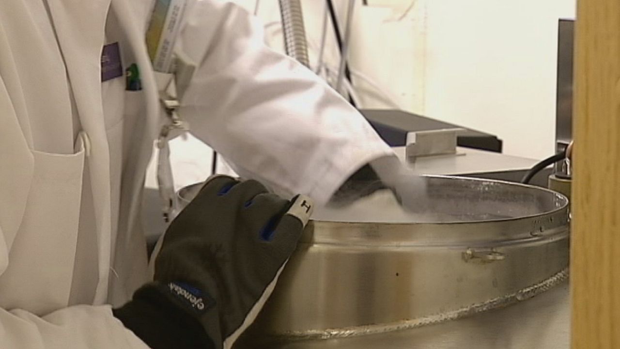 Fotosurat yiglab yubormagunimcha eshakda sikilgan