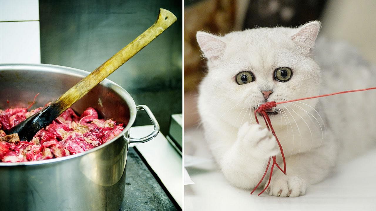 Uyda jinsiy aloqa, swingerlar, oilaviy sikish