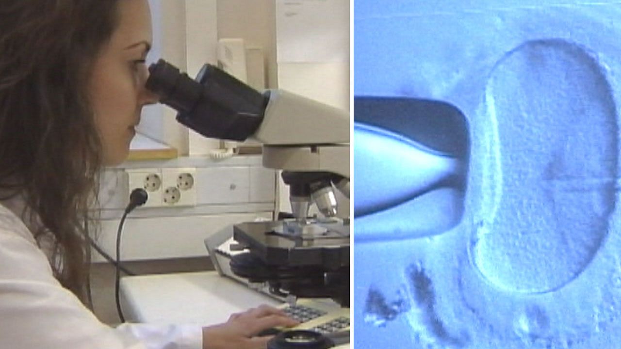 Hamshiralar sperma donorligida yordam beradi