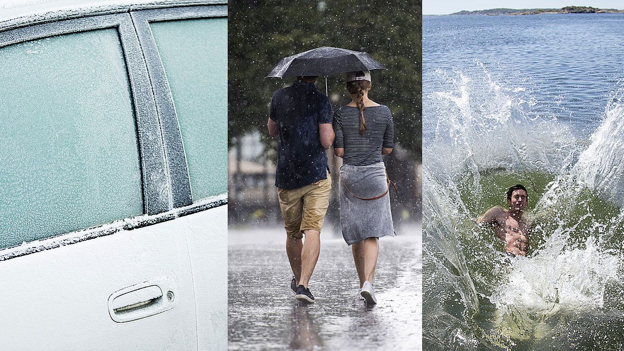 Mushukni silagan kimga kerak?