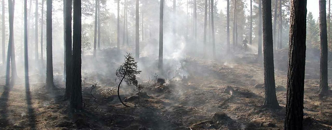 skogsbrand skogsbränder västervik