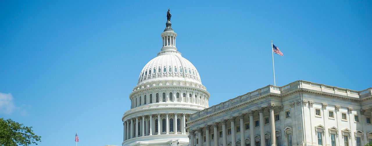 U.S. Capitol-byggnaden med sin karakteristiska kupol, omgiven av grönskande träd och buskar under en klar, blå himmel. Amerikas flagga vajar på toppen av byggnaden.