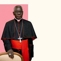 Montage föreställandes två av kandidaterna till valet av ny påve, Robert Sarah till vänster och Luis Antonio Tagle.