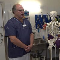 läkare med blå skjorta och ett skelett med bandage. en kvinnlig reporter frågar läkaren om skador.