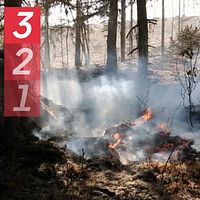 Skogsbrand och vakthavande befäl Adam Dahlberg från Räddningscentral Nord
