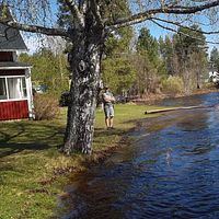Christer Olsson vid gården som drabbas av vattenmängderna i Bureå.