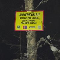 Skylt på ett träd: ”Avverkas ej! Respekt för urfolk och naturens gränser saknas”