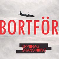 Flygplan i luften på en grå himmel