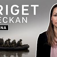 Se SVT:s Kriget i veckan för det senaste om kriget i Ukraina.