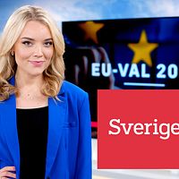 Sverige i dags programledare Julia Hedlund