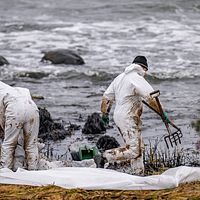 Personal från Kustbevakningen och Sölvesborgs kommun arbetar med sanering efter oljeläckaget från passagerarfartyget Marco Polo vid naturreservatet Spraglehall utanför Hörvik.