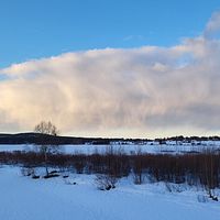 Kuivakangas, Norrbotten den 20/3.