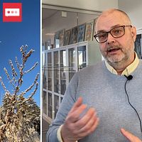 Tvådelad bild. Vänster: vindkraftverk mot blå himmel. Höger: person med mikrofon talar inomhus.