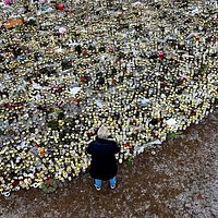 En person står vid ett stort blomsterhav på en minnesplats.