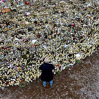Person ser ut över ett hav av blommor utlagda på marken vid minnesplatsen efter masskjutningen vid Campus Risbergska.