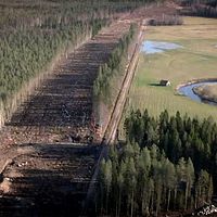 Flygbild över ett skogsområde där en bred väg röjts upp.