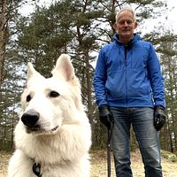 Magnus Orrebrant, som är ordförande i Svenska Rovdjursföreningen, är positiv till att vargen sprids och menar att den gärna får etablera sig i Halland.