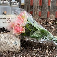 Blommor och ljus finns på den plats där en man i 25-årsåldern sköts ihjäl i en bil på Hagalund i Borlänge kvällen den 27 april.